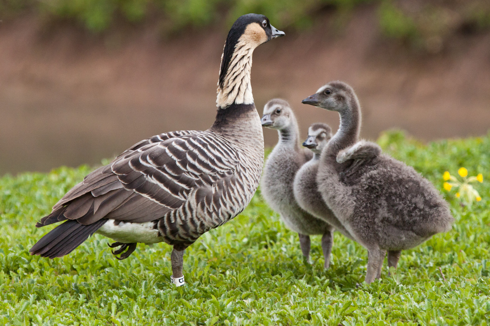 Show mum some love on Mother's Day